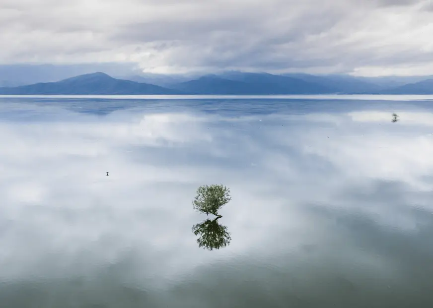 Opposite or Next to?