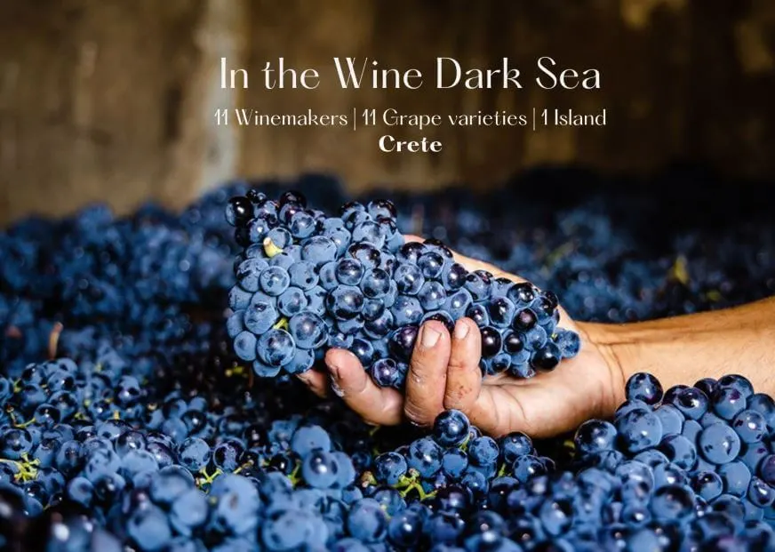 Chrisa Giorgi: How I got involved with Greek Wines