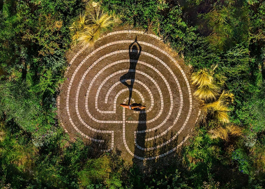 Discover Macrozoe: Greece’s Path to Longevity Wellbeing Festival at Euphoria Retreat