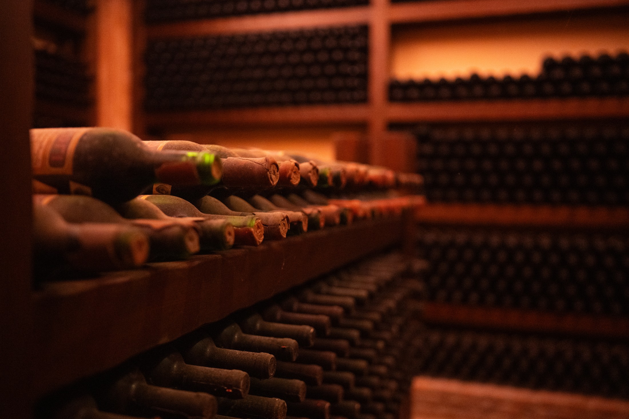 Das Weingut Foundi