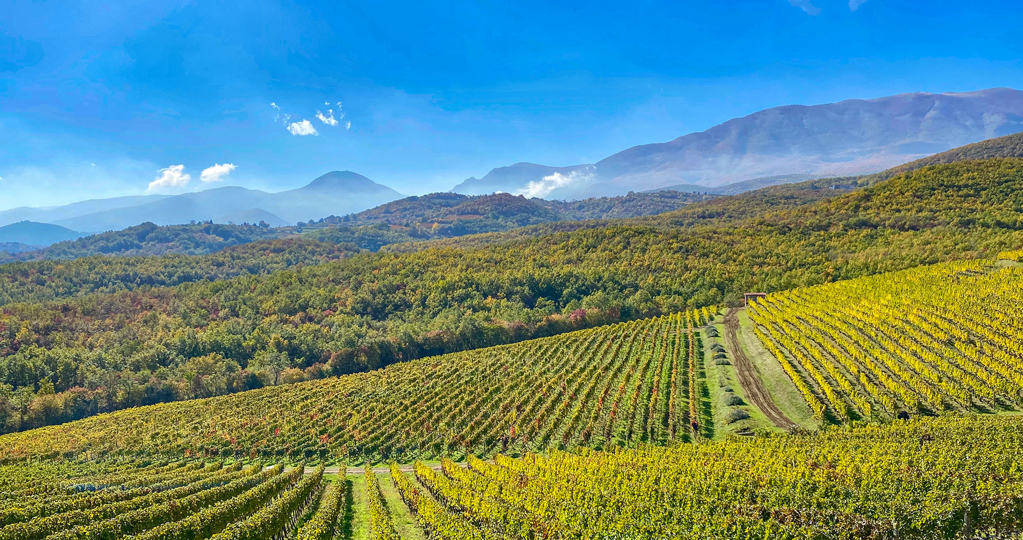 Das Weingut Boutari